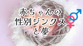 Thumbnail of post image 023